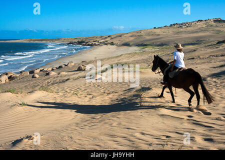 Cavallo da Cabo Polonio a Barra de Valizas, Rocha Dipartimento, Uruguay. Foto Stock