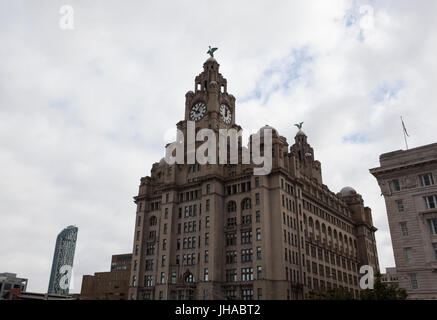 Osservando il Royal Liver Building in Liverpool Foto Stock