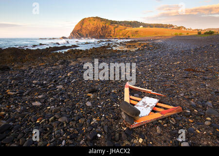 Driftwood si è incagliata su un ciottolo disseminata spiaggia è illuminato dalla calda luce del mattino durante il sunrise su un tratto di costa in Australia. Foto Stock