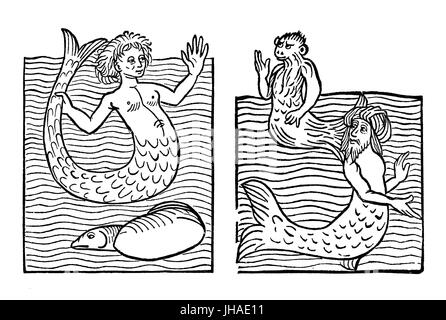 Il mostro marino e humal-come creatura: mermaid, scimmia di mare, mare turk, incisione medievale, anno 1491 Foto Stock