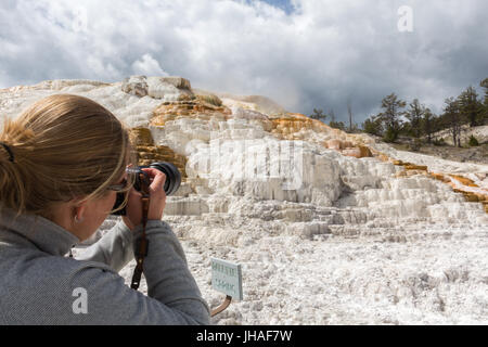 Una donna sta prendendo una foto della tavolozza molla in Mammoth Hot Springs, il Parco Nazionale di Yellowstone, Wyoming USA Foto Stock