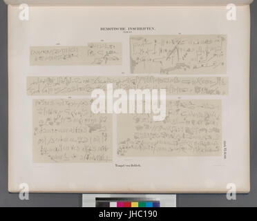 Demotische Inschriften n. 151-155. Tempel von Dakkeh (el-Dakka) (NYPL b14291191-44292) Foto Stock