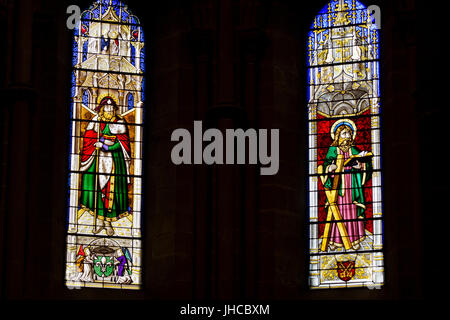 San Giacomo e san Andrea - la Cattedrale di San Pietro - Ginevra Foto Stock