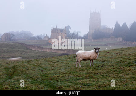 St James Church e pecora su misty inverno mattina, Chipping Campden, Cotswolds, Gloucestershire, England, Regno Unito, Europa Foto Stock