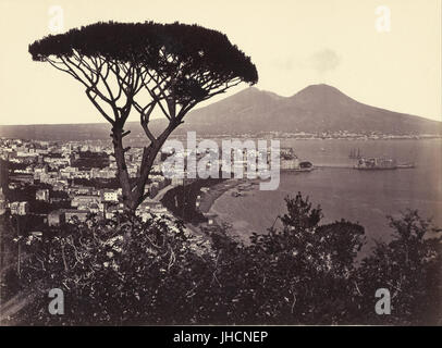 Giorgio Sommer (italiano, nato in Germania - Panorama del Vomero con Pine Tree - Foto Stock