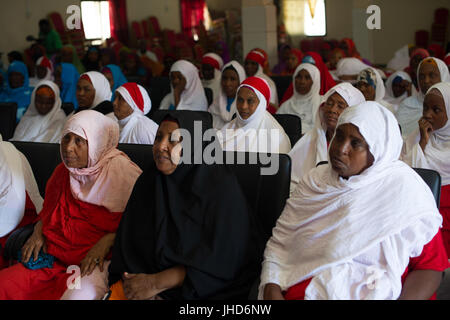 2015 05 13 Hamarwayne Community-Policing-2 (16978770603) Foto Stock