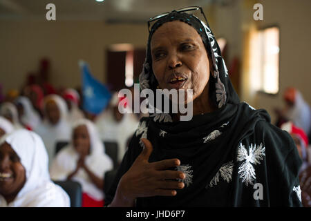 2015 05 13 Hamarwayne Community-Policing-4 (17596756572) Foto Stock