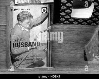 Il marito coccinella libro nel negozio di articoli da regalo la finestra di visualizzazione, pubblicazione retrò come funziona serie Foto Stock