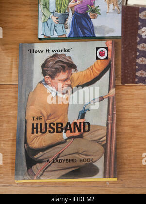 Il marito coccinella libro nel negozio di articoli da regalo la finestra di visualizzazione, pubblicazione retrò come funziona serie Foto Stock
