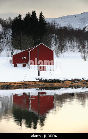 Case al mare-barca capannoni in Vestpolloya isola di Austnesfjorden riflette sull'acqua. Villaggio Vestpollen-Nordlia e supporti Slettlia sfondo. Centr Foto Stock