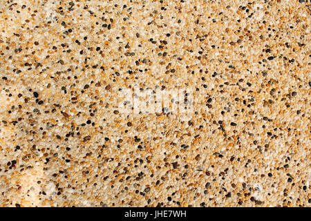 Base in cemento con ciottoli embedded noto come Pebblecrete. Foto Stock