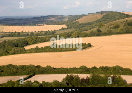 Vista Hannington Hill e Watership Down da Beacon Hill con estate campi di grano, North Wessex Downs AONB, vicino a Highclere, Hampshire, Inghilterra, uni Foto Stock