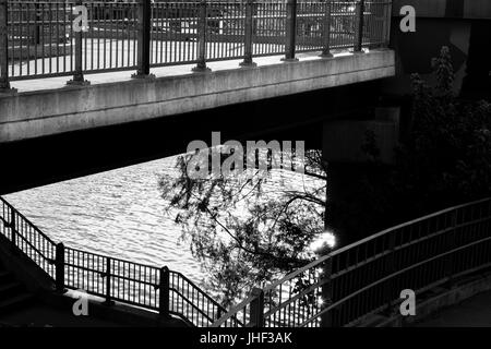 Ponte pedonale e ciclabile James D. Pfluker sul lago Lady Bird di Austin, Texas USA Foto Stock