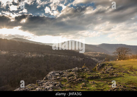 Albero solitario sulla montagna sull'abisso in raggi di impostazione o RISING SUN. Adygea montagne. Foto Stock
