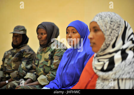 2015 09 visite DSRCC Villa Somalia-4 (20653082143) Foto Stock