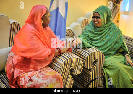 2015 09 visite DSRCC Villa Somalia-5 (21274228295) Foto Stock