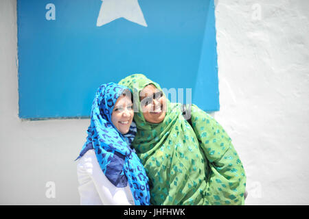 2015 09 visite DSRCC Villa Somalia-13 (21086117420) Foto Stock