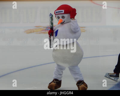 2015 C1C - pupazzo di neve Foto Stock