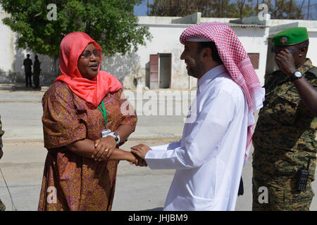 2016 26 visite DSRCC Qatar Embassy-2 (30279617360) Foto Stock