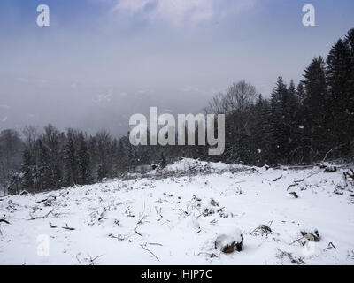 Nevicata nel Beskids Montagne, Vicino Piwniczna-Zdroj. La Polonia. Foto Stock