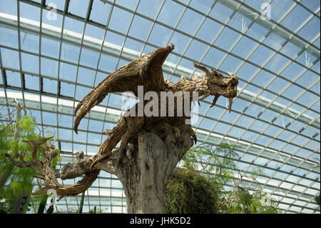 Scultura in legno/scolpire il grande drago alato in giardini dalla baia, Singapore Foto Stock