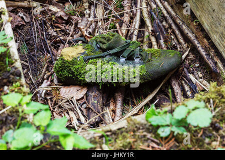 Abbandonate coperte di muschio e di età compresa tra pattino all ambiente in legno Foto Stock