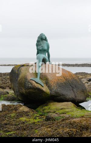 In Balintore,Tain Scozia, su una roccia nel mare denominata 'Clach Dubh" (black rock) siede il bronzo Mermaid statua conosciuta come 'La sirenetta del nord". Foto Stock