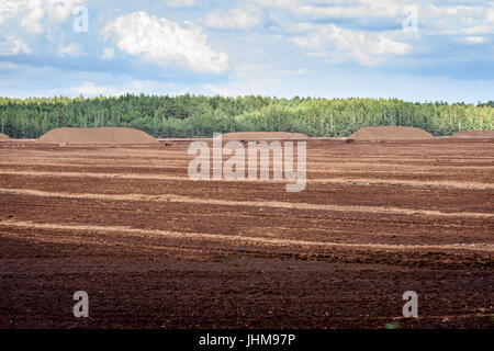 Bog e il campo in base al quale la produzione è effettuata in bianco e nero di data mining di torba, industria, con macchinari Foto Stock