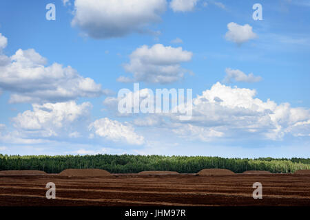 Bog e il campo in base al quale la produzione è effettuata in bianco e nero di data mining di torba, industria, con macchinari Foto Stock