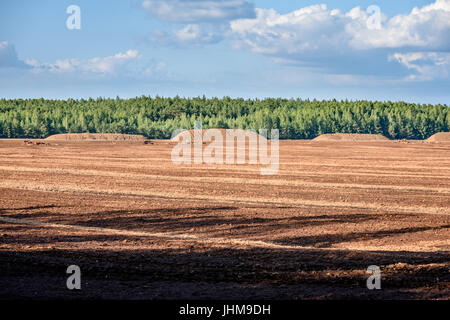 Bog e il campo in base al quale la produzione è effettuata in bianco e nero di data mining di torba, industria, con macchinari Foto Stock