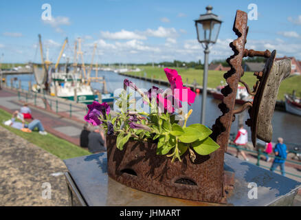 Greetsiel, Germania. 13 Luglio, 2017. Una petunia sorge in un ferro arrugginito sulla banchina del porto di Greetsiel, Germania, 13 luglio 2017. Una pressione elevata ridge è il tempo per una piacevole giornata in Germania settentrionale. Foto: Ingo Wagner/dpa/Alamy Live News Foto Stock