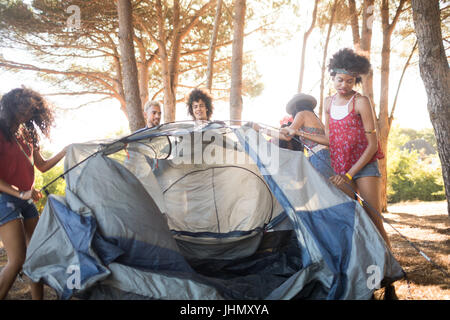 Giovani amici di sesso femminile impostazione di tenda alla campagna Foto Stock