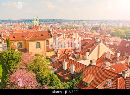 Vista dei tradizionali tetti arancione dal Castello di Praga sulla soleggiata giornata di primavera con il sakura in fiore in primo piano, Praga, Repubblica Ceca Foto Stock