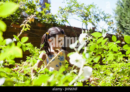 Ragazza in piedi in mezzo a piante verdi in giardino sulla giornata di sole Foto Stock