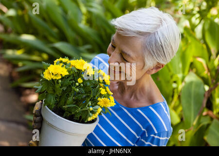 Angolo di alta vista sorridente donna senior profumati fiori gialli a backyard Foto Stock