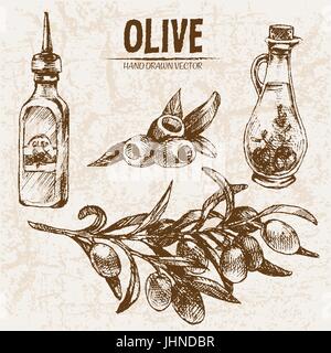 Vettore digitale disegni dettagliati di olive e di olio disegnati a mano retrò illustrazione insieme di raccolta, forno stufa. Artistico sottile Matita contorno. Vintage fla di inchiostro Illustrazione Vettoriale