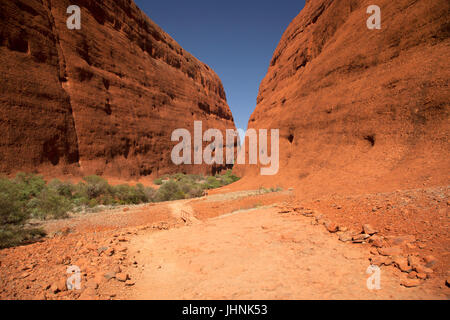 Dentro e intorno al massiccio del Kata Tjuta (Olgas) Australia centrale Foto Stock