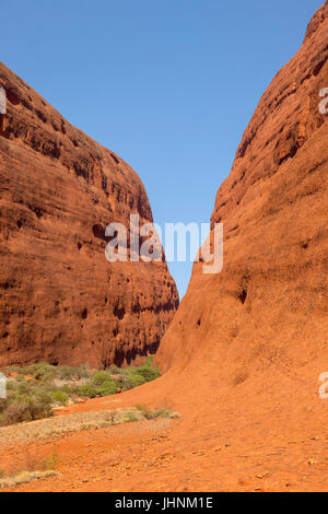 Dentro e intorno al massiccio del Kata Tjuta (Olgas) Australia centrale Foto Stock