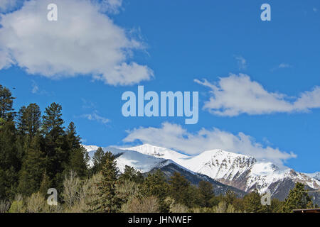 Montare Princeton, cime coperte di neve, in maggio a Nathrop, Colorado, STATI UNITI D'AMERICA Foto Stock