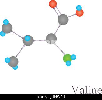Valina 3D molecola della scienza chimica, stile cartoon Illustrazione Vettoriale