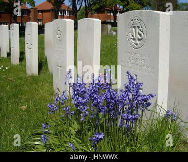 Manor Road cimitero, Scarborough Foto Stock