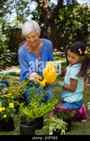 Senior sorridente donna e bambina di irrigazione delle piante in vaso in cortile Foto Stock