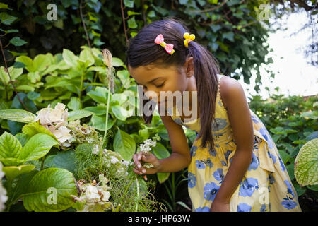 Ragazza guardando i fiori freschi in cortile Foto Stock