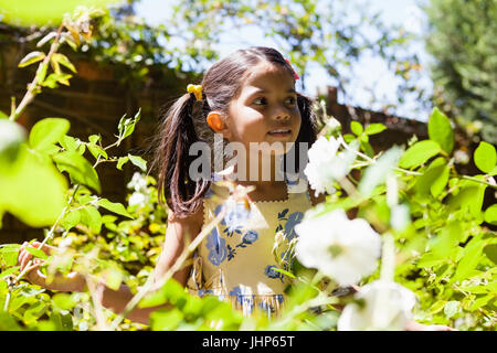 Ragazza in piedi in mezzo a piante in giardino sulla giornata di sole Foto Stock