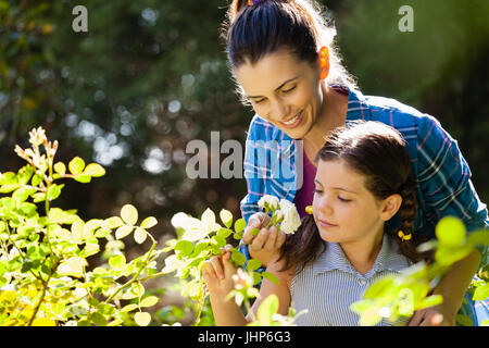 Donna sorridente con la figlia odore di rose bianche nel cortile durante la giornata di sole Foto Stock