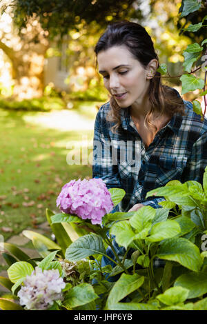 Bella donna accovacciata mentre cercano di purple hydrangea mazzetto in cortile Foto Stock