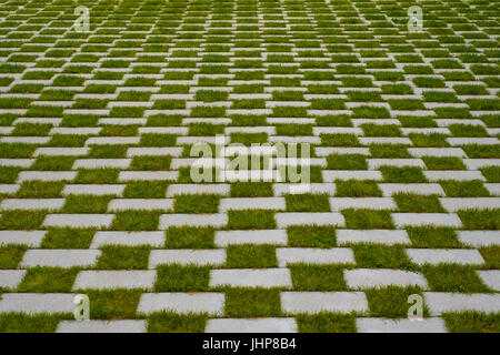 Erba e cobblestone pavement - pavimento a scacchi Foto Stock