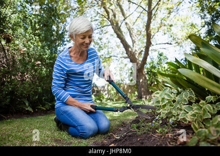 Senior donna inginocchiato mentre il taglio di piante con tagliasiepi in cortile Foto Stock