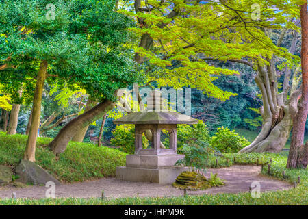 Il Koishikawa Kōrakuen Giardini in Bunkyo, Tokyo, Giappone. Foto Stock