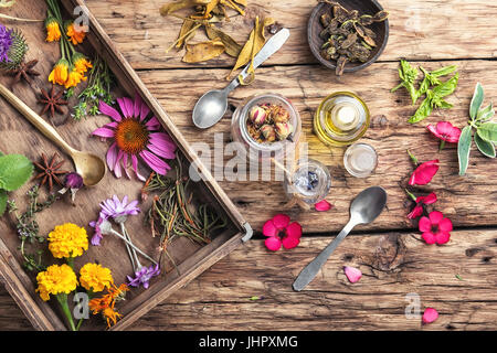 Set di erbe, piante e infiorescenze in una scatola di legno Foto Stock